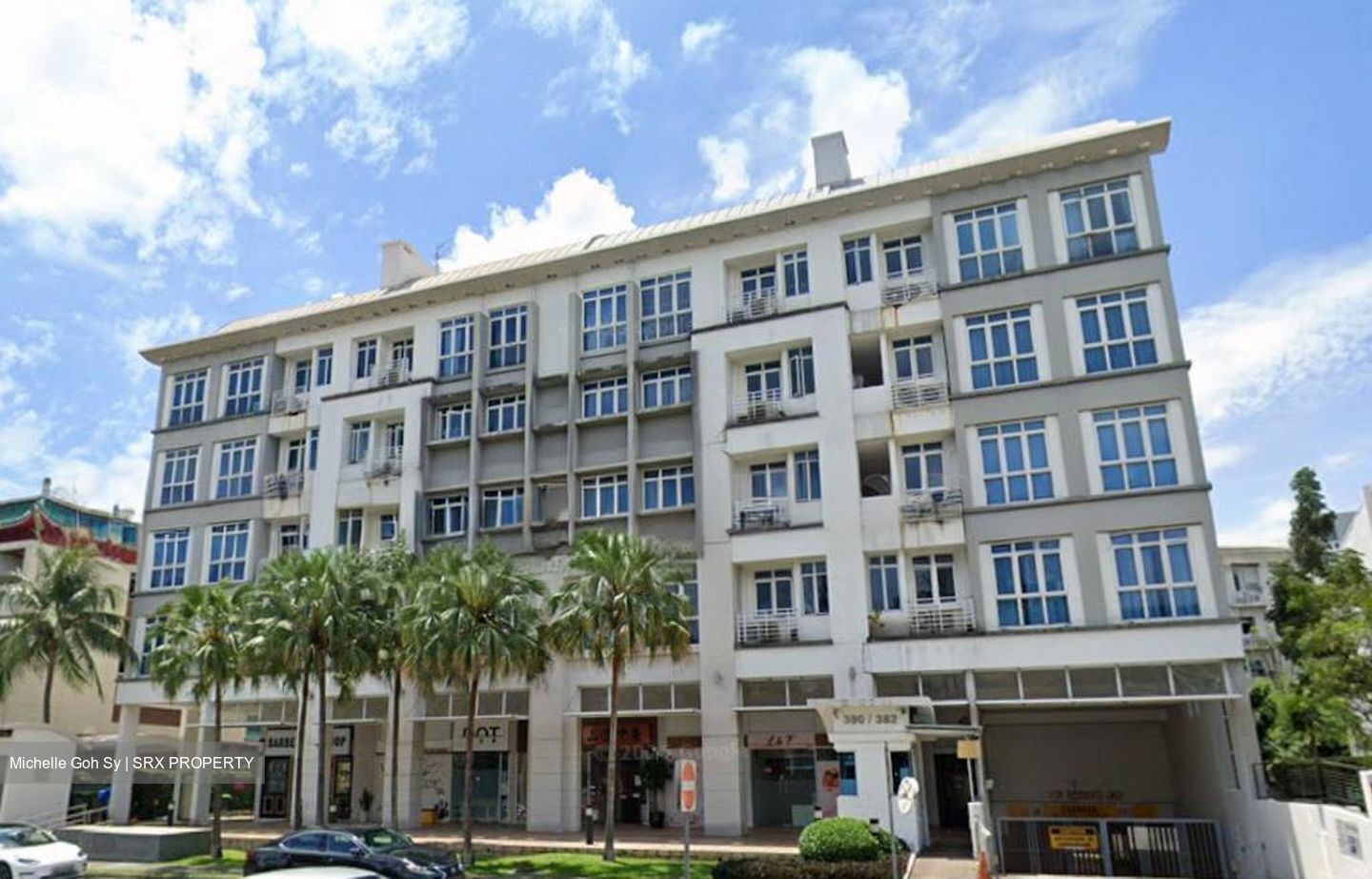 The Champagne (D14), Apartment #508222891